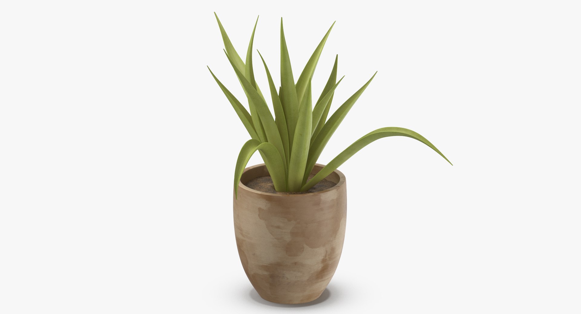 3D botanical - 205 products model https://p.turbosquid.com/ts-thumb/x6/MjCF6E/Ya6BX3Qp/0000/jpg/1564574726/1920x1080/turn_fit_q99/4e5ec479a741041575abdfe20413346a0be5e342/0000-1.jpg
