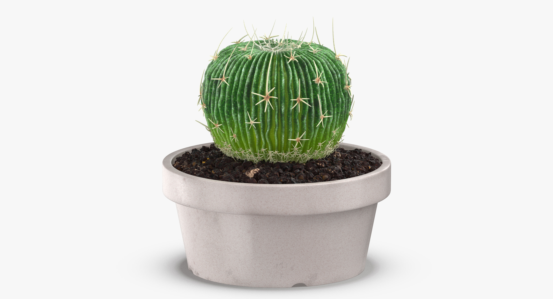 3D botanical - 205 products model https://p.turbosquid.com/ts-thumb/x6/MjCF6E/Yp8IlGDW/0000/jpg/1564578048/1920x1080/turn_fit_q99/f36c73daaac81b0b1e9816aea5c5ed5e26febf3b/0000-1.jpg