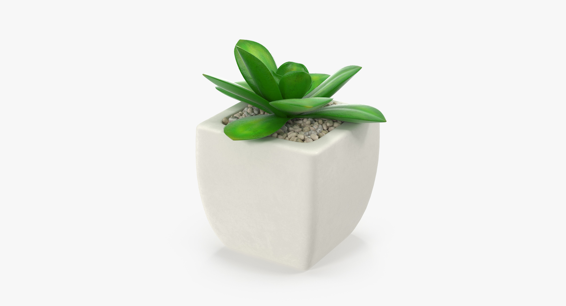 3D botanical - 205 products model https://p.turbosquid.com/ts-thumb/x6/MjCF6E/hTZhoVxQ/00/jpg/1564576626/1920x1080/turn_fit_q99/14db0b91ceb2ced3d627c2b5d42624e916589857/00-1.jpg