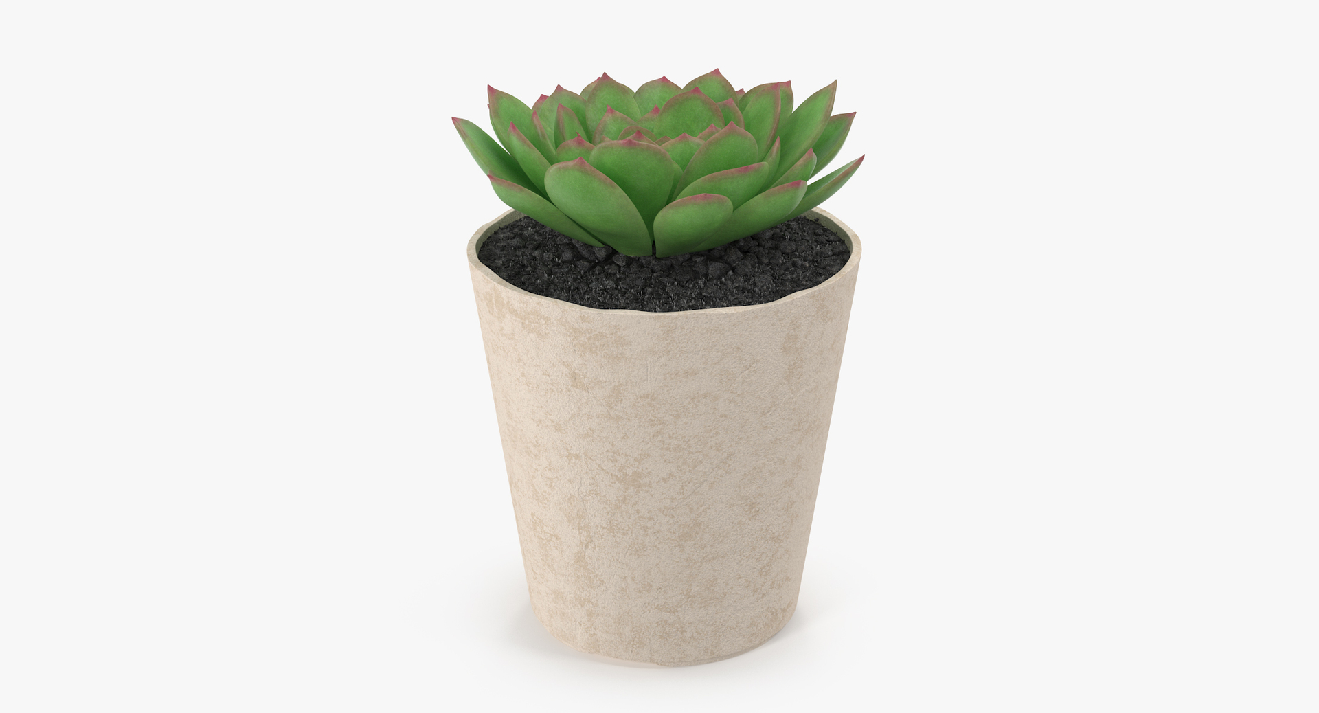 3D botanical - 205 products model https://p.turbosquid.com/ts-thumb/x6/MjCF6E/iD1gIXui/00/jpg/1564576720/1920x1080/turn_fit_q99/d2e2928070b390fda162cae4d003b74d3daa0d45/00-1.jpg