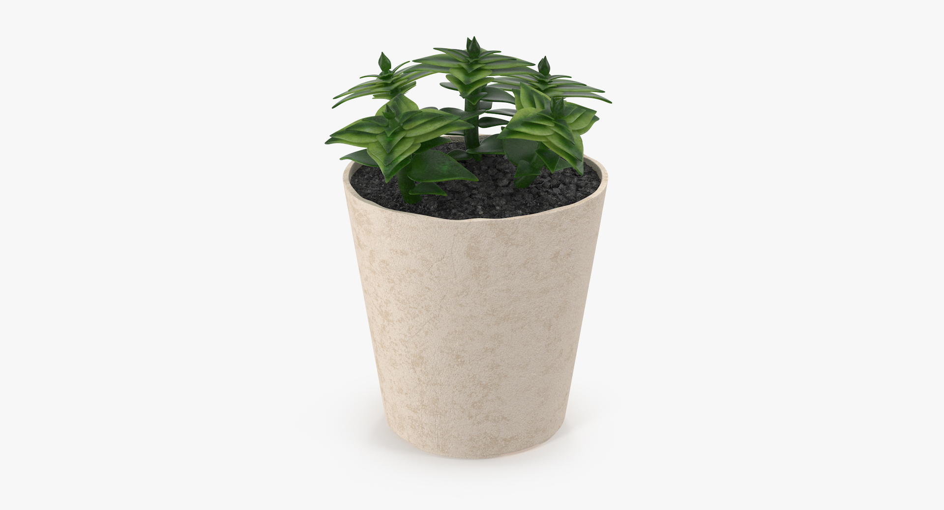 3D botanical - 205 products model https://p.turbosquid.com/ts-thumb/x6/MjCF6E/ii7ADbrj/00/jpg/1564577795/1920x1080/turn_fit_q99/683e2cc0979074de715783a9c9e8bf6d1c33f395/00-1.jpg