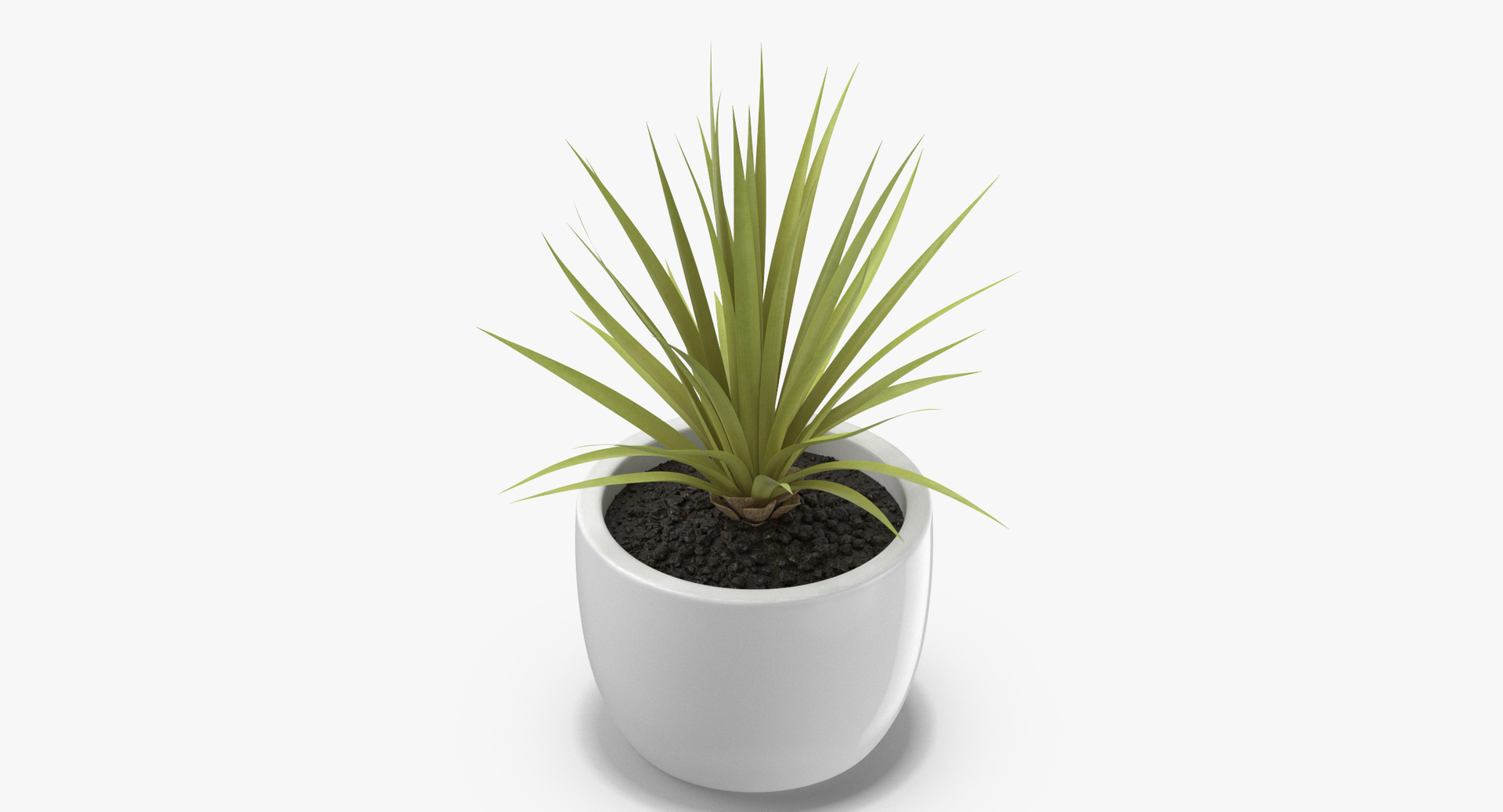 3D botanical - 205 products model https://p.turbosquid.com/ts-thumb/x6/MjCF6E/mUyBvu5x/0000/jpg/1564575398/1920x1080/turn_fit_q99/1558daeaf51e0ce44691aaab12042ba0bf137f89/0000-1.jpg
