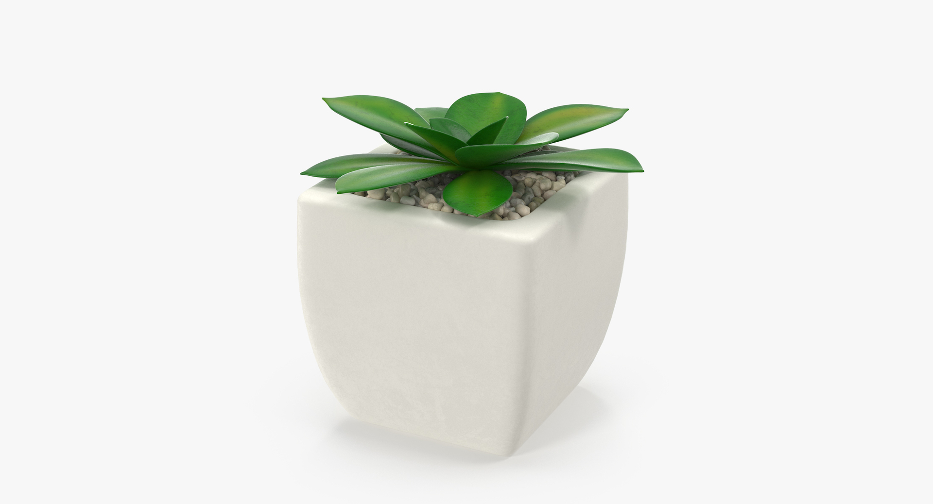 3D botanical - 205 products model https://p.turbosquid.com/ts-thumb/x6/MjCF6E/pbBWktQV/00/jpg/1564576576/1920x1080/turn_fit_q99/7a67d7c5915adafce141177c620680d496da61c4/00-1.jpg