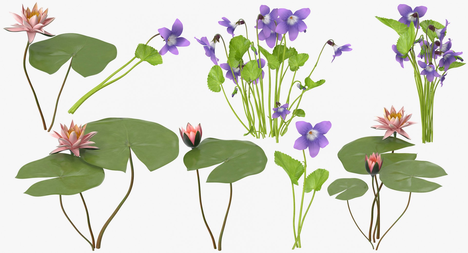 3D botanical - 205 products model https://p.turbosquid.com/ts-thumb/x6/MjCF6E/r2N3l15g/botanical_collection_group_thumbnail_08_18/jpg/1564568129/1920x1080/fit_q87/41941ca02a1d142be1724539ef55e7020c5003e0/botanical_collection_group_thumbnail_08_18.jpg