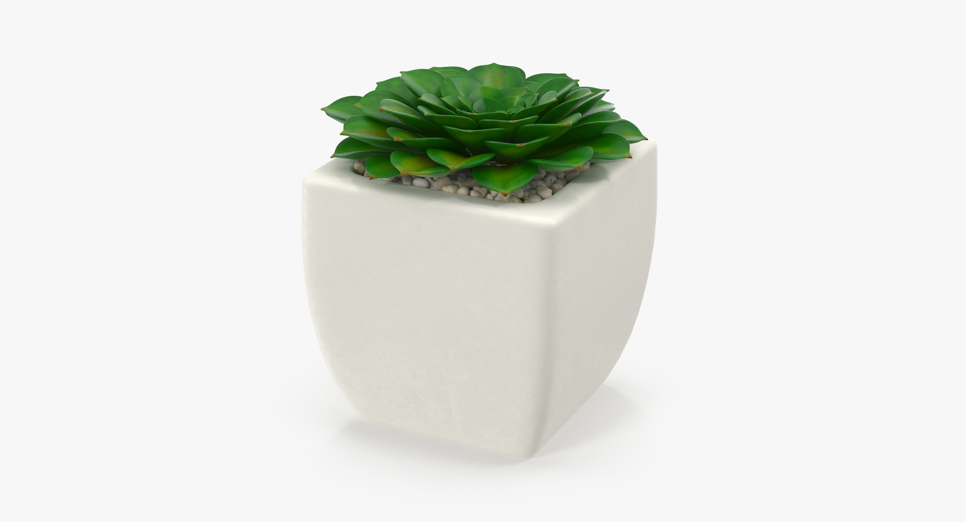 3D botanical - 205 products model https://p.turbosquid.com/ts-thumb/x6/MjCF6E/uSEznzuZ/00/jpg/1564576651/1920x1080/turn_fit_q99/6b7acfd58f65d65b88a92a5acface4e1af2e9209/00-1.jpg
