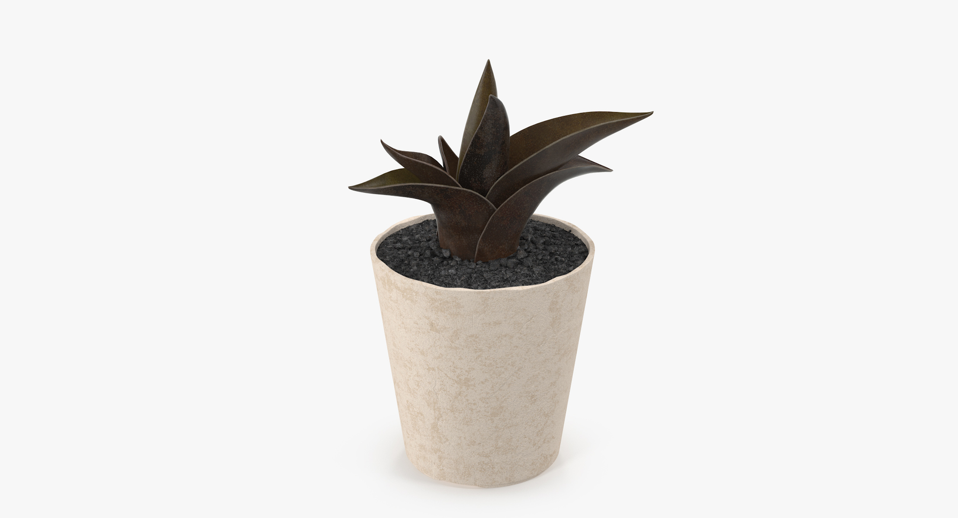 3D botanical - 205 products model https://p.turbosquid.com/ts-thumb/x6/MjCF6E/vPoqRvUe/00/jpg/1564577761/1920x1080/turn_fit_q99/958e2e4bc93568c5f9eee47e4754568c8d5634fe/00-1.jpg
