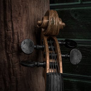 OLD VIOLIN