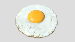 Fried Egg 2 3D model