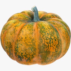 Pumpkin V7 3D