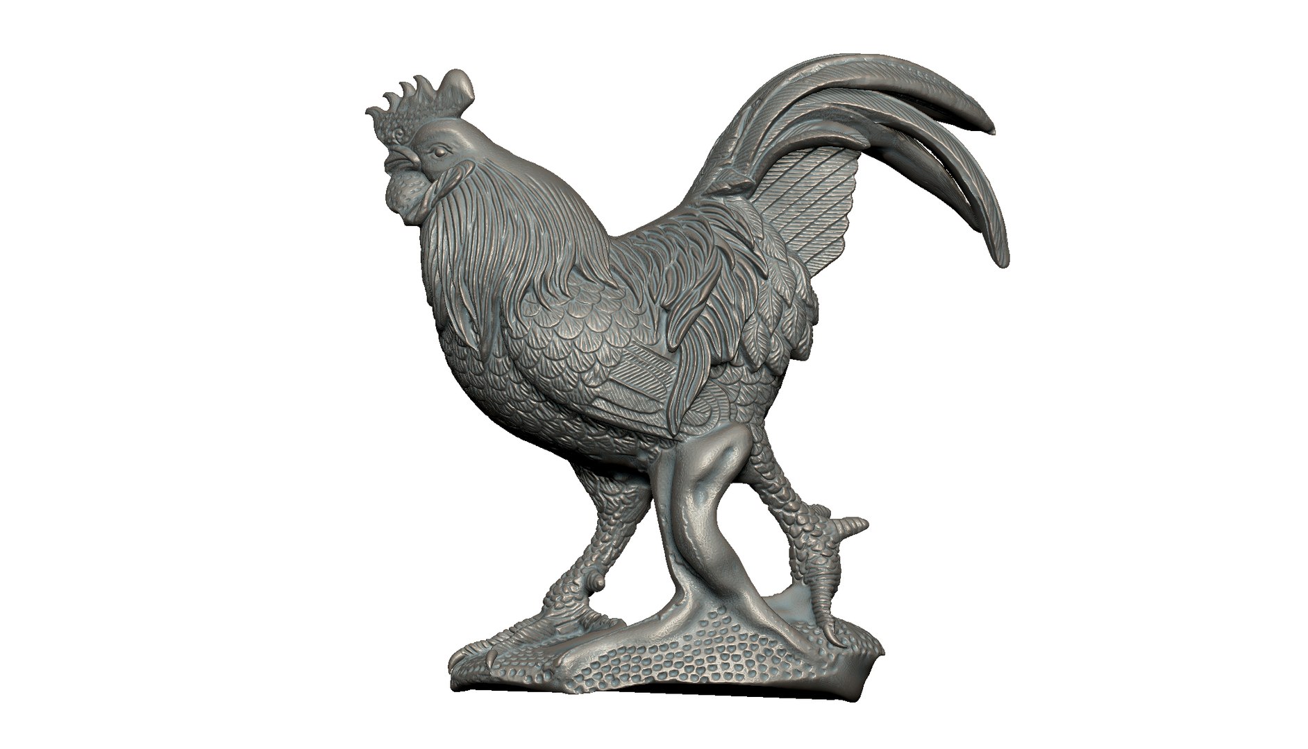 3D rooster https://p.turbosquid.com/ts-thumb/x6/bhCrsD/YH/4/jpg/1737494477/1920x1080/fit_q87/a3ea59a71576fde02b99bd5f0aa454e1f01183ac/4.jpg