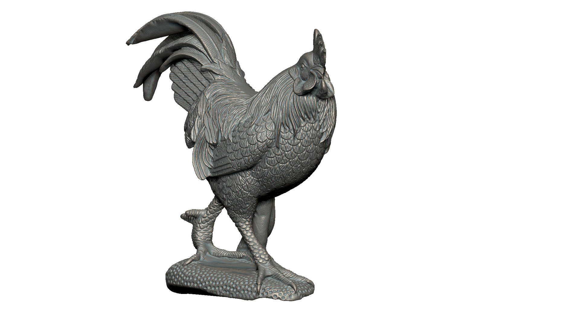 3D rooster https://p.turbosquid.com/ts-thumb/x6/bhCrsD/lU/2/jpg/1737494474/1920x1080/fit_q87/bfe18bba65c943f2fd6405f16f3dad83367bdb38/2.jpg