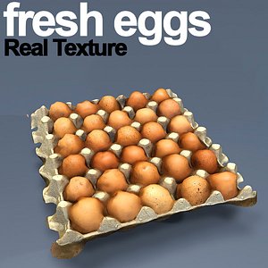 3D carton fresh eggs hd model