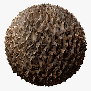 Date palm A PBR tiled texture 8K