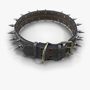 Spiked Dog Collar