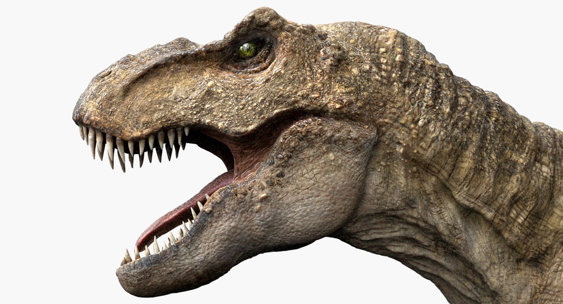 3d model v-ray rigged rex