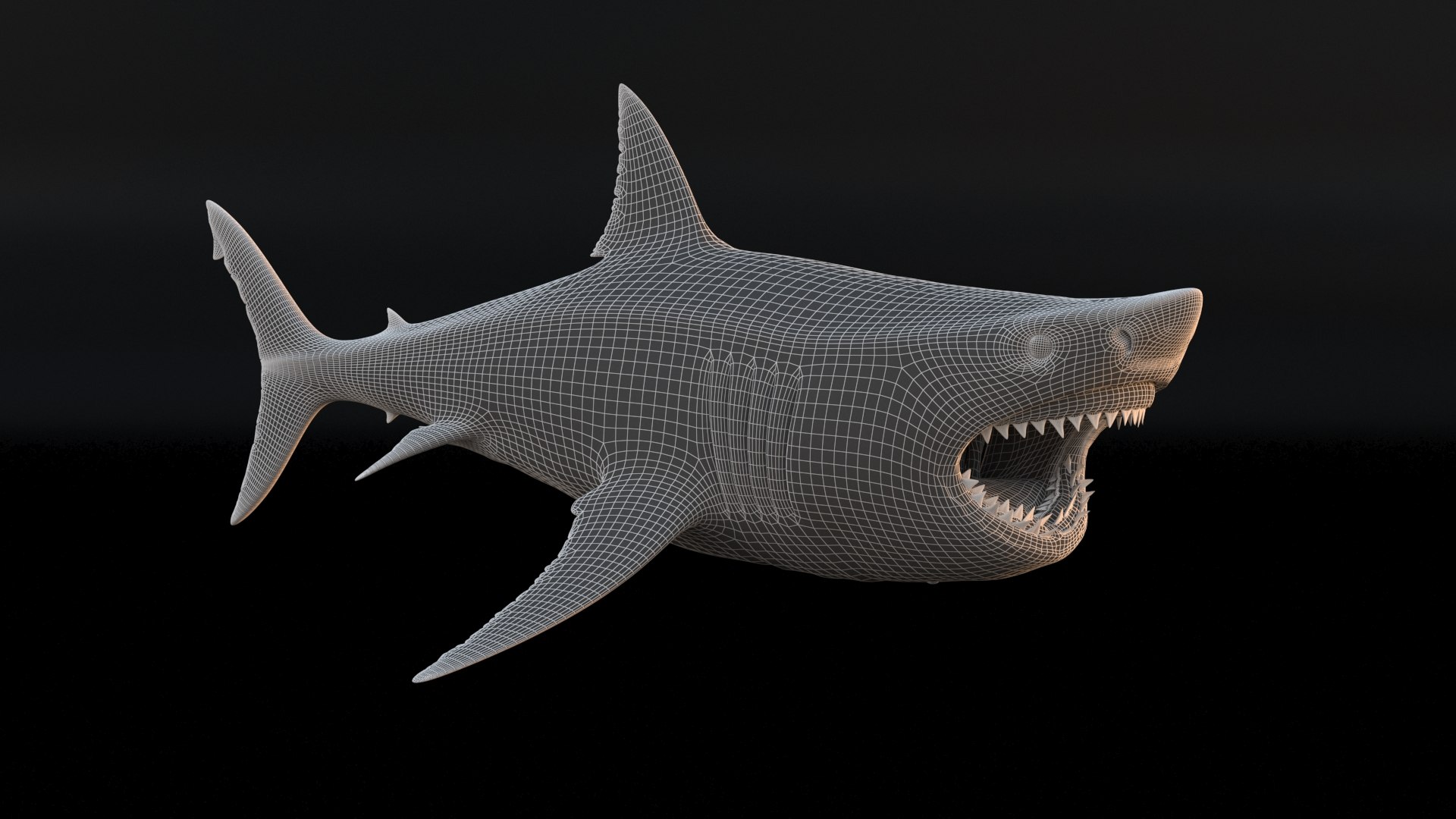 3D model great white shark https://p.turbosquid.com/ts-thumb/x7/80l0yL/02QmHssy/15/jpg/1597170743/1920x1080/fit_q87/e37927f96cd663eaaedc001d49c2ed126c2570af/15.jpg