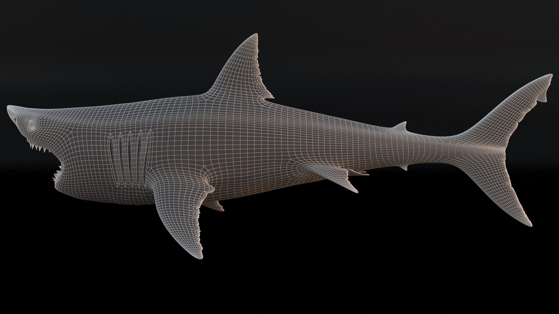3D model great white shark https://p.turbosquid.com/ts-thumb/x7/80l0yL/0MAaljnq/13/jpg/1597170742/1920x1080/fit_q87/ab8022cc7d23bd0118a7f7682abcacf346f438a6/13.jpg