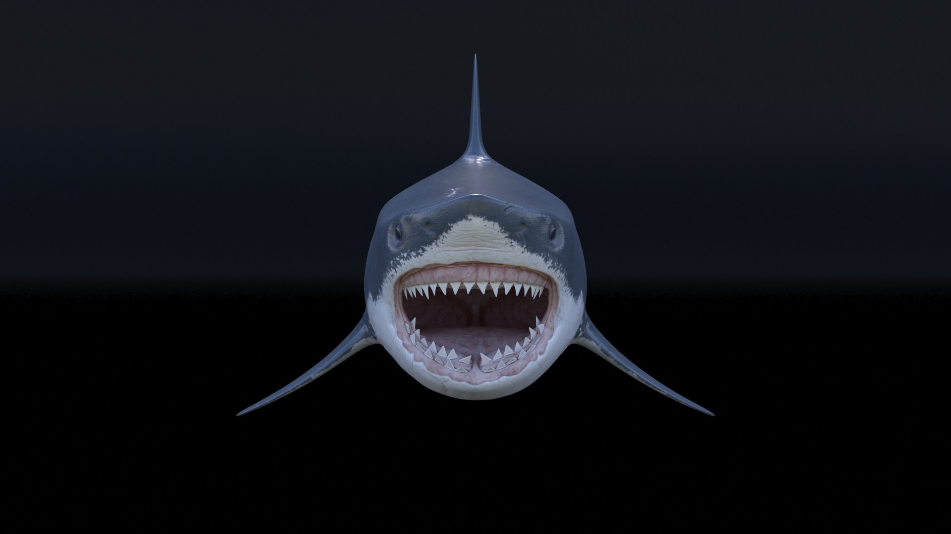 3D model great white shark https://p.turbosquid.com/ts-thumb/x7/80l0yL/1C22VSR0/5/jpg/1597170736/1920x1080/fit_q87/9d83ae9254e7d5fbe315f0524e391e91c52fd339/5.jpg