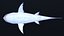 Gran tiburón blanco