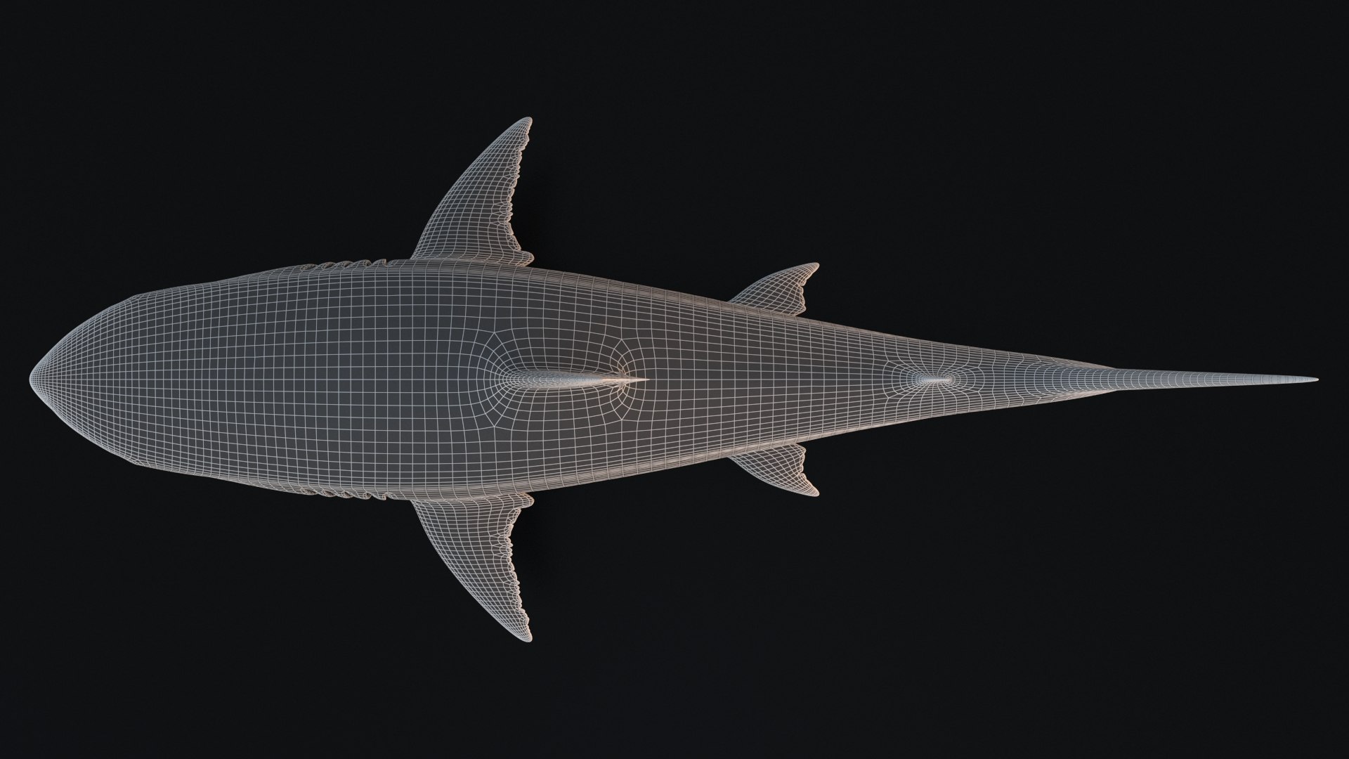 3D model great white shark https://p.turbosquid.com/ts-thumb/x7/80l0yL/4GnKBKDN/18/jpg/1597170750/1920x1080/fit_q87/6593f44d4a5f2617b0a345f9e3eb8c145210bdb4/18.jpg