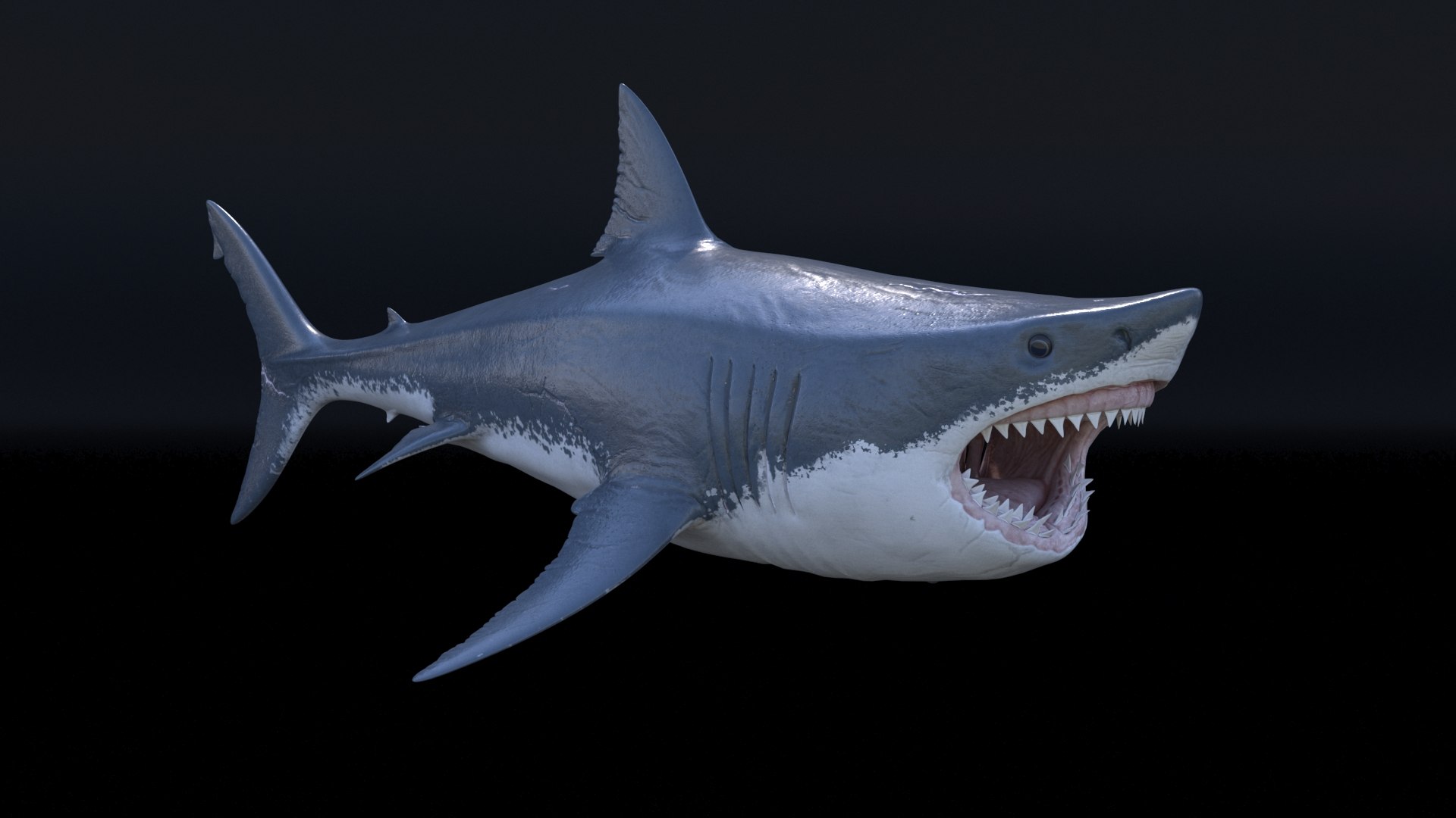 3D model great white shark https://p.turbosquid.com/ts-thumb/x7/80l0yL/Ab1o0X7i/6/jpg/1597170738/1920x1080/fit_q87/f37a48e57dabbda996c585888d8cea0f5949d5df/6.jpg