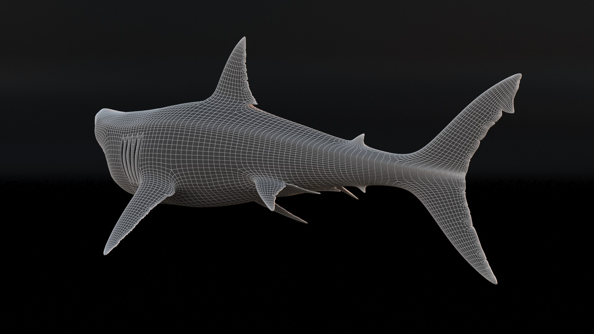 3D model great white shark https://p.turbosquid.com/ts-thumb/x7/80l0yL/CwDLPuob/17/jpg/1597170744/1920x1080/fit_q87/ea0afcb7ead7850900b251345bdb40c336f8f723/17.jpg