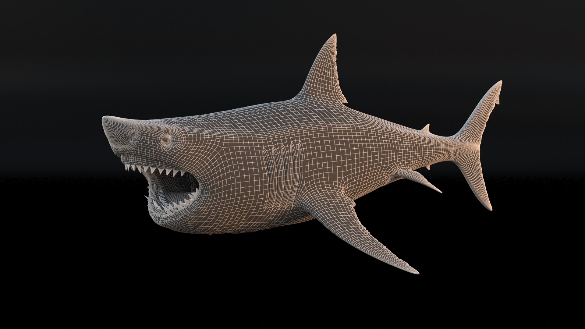 3D model great white shark https://p.turbosquid.com/ts-thumb/x7/80l0yL/Mc7CRgjq/14/jpg/1597170744/1920x1080/fit_q87/8450e6afc0ece8aff73c31cb1954cdb44da0a988/14.jpg