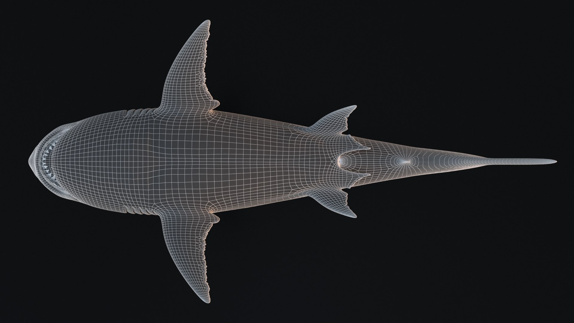 3D model great white shark https://p.turbosquid.com/ts-thumb/x7/80l0yL/dGsMq47V/19/jpg/1597170745/1920x1080/fit_q87/c09e77d1a72e1613927d07b12c7899196870ee3b/19.jpg