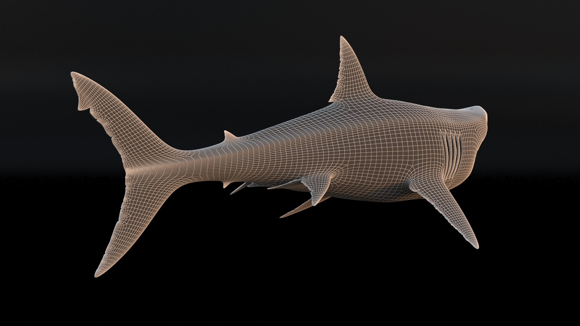 3D model great white shark https://p.turbosquid.com/ts-thumb/x7/80l0yL/pejcRTay/16/jpg/1597170745/1920x1080/fit_q87/f75e5829a224f337772a0a03d715edc60eab0ba2/16.jpg