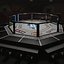 UFC Arena Interieur
