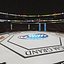UFC Arena Interieur