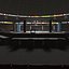 UFC Arena Interieur