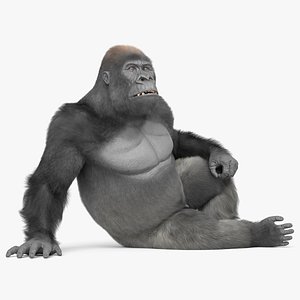 Adult Gorilla Primate Fur Rigged For Blender Animated Set
