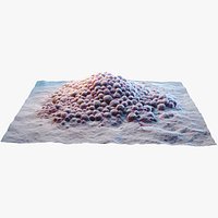 Tumor Microenvironment