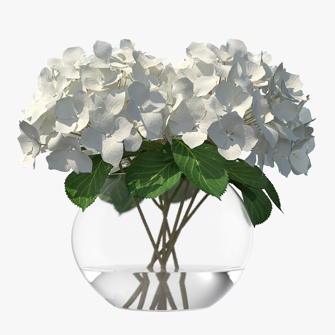 White Hydrangea Macrophylla in Glass Bowl 3D model preview