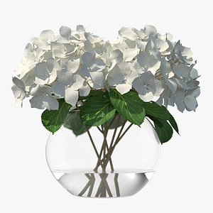 3D white hydrangea macrophylla glass bowl model