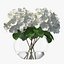Weiße Hortensie Macrophylla in Glasschale