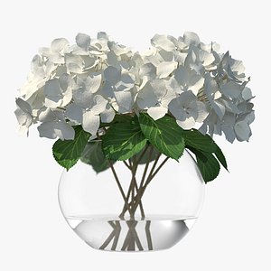 White Hydrangea Macrophylla in Glass Bowl
