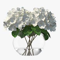 White Hydrangea Macrophylla in Glass Bowl