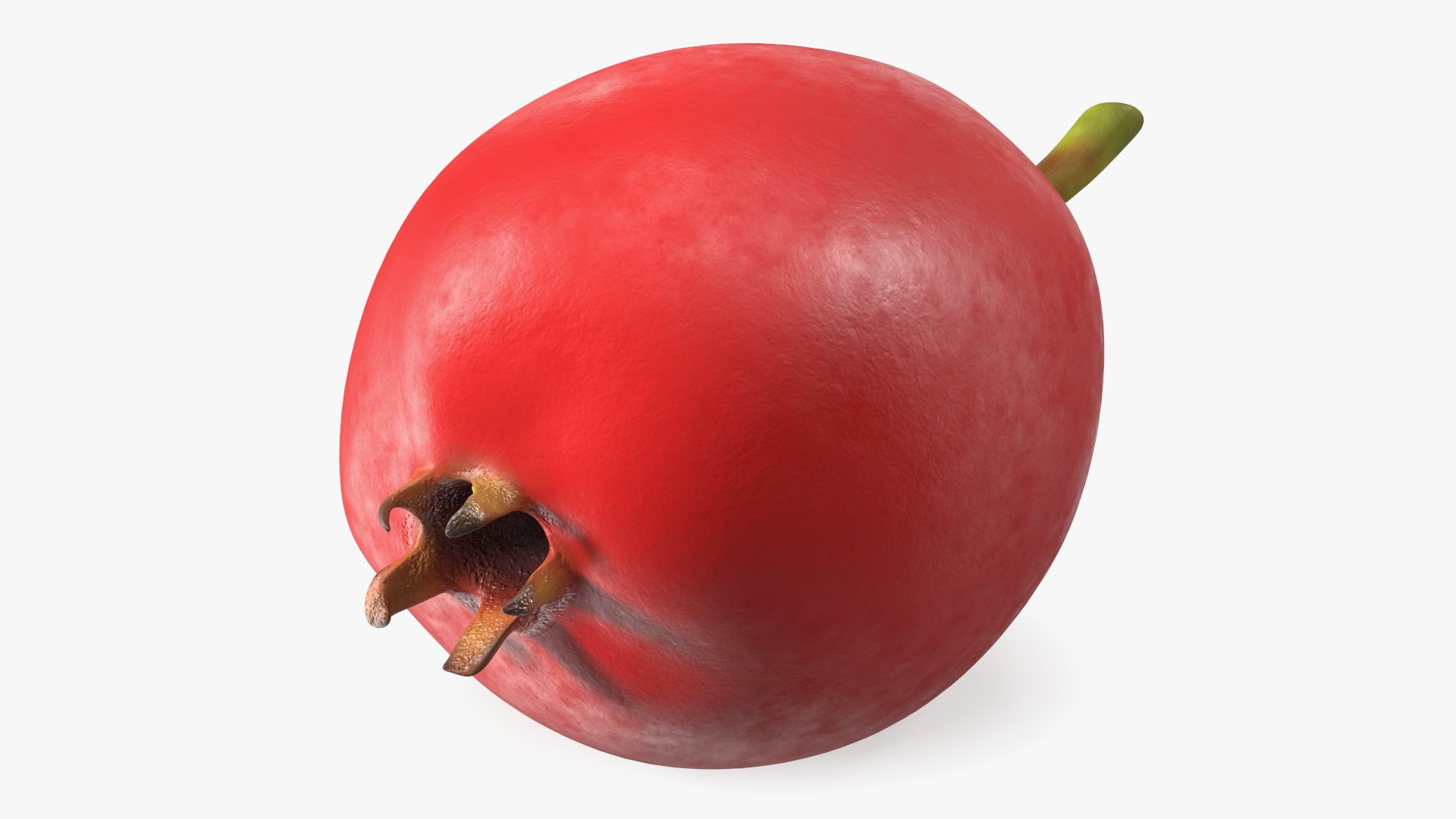Hawthorn Berry 3D model preview