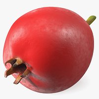 Hawthorn Berry
