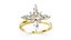 Flos Petala Ring