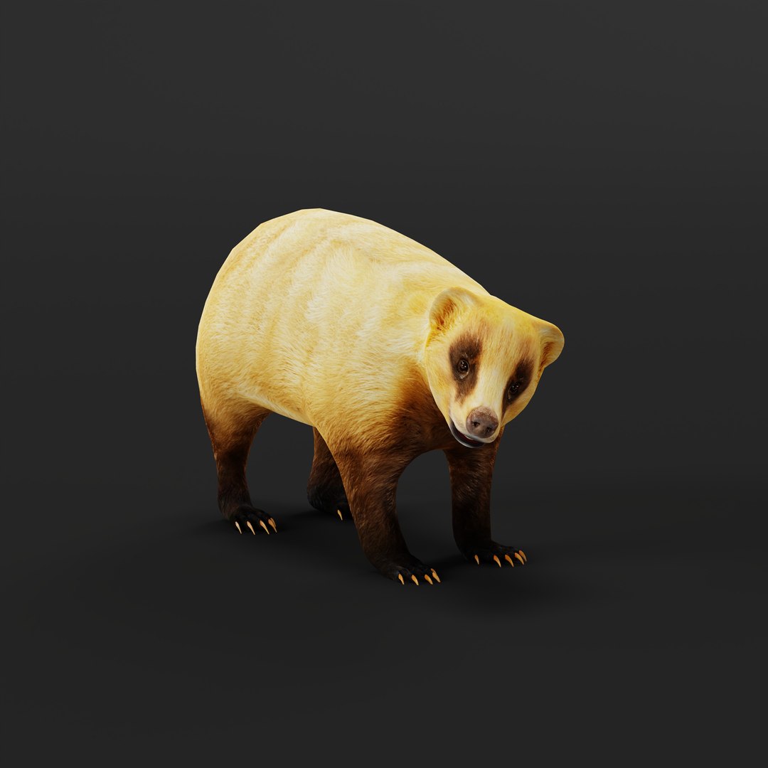 3D Japanese Badger - TurboSquid 2294060