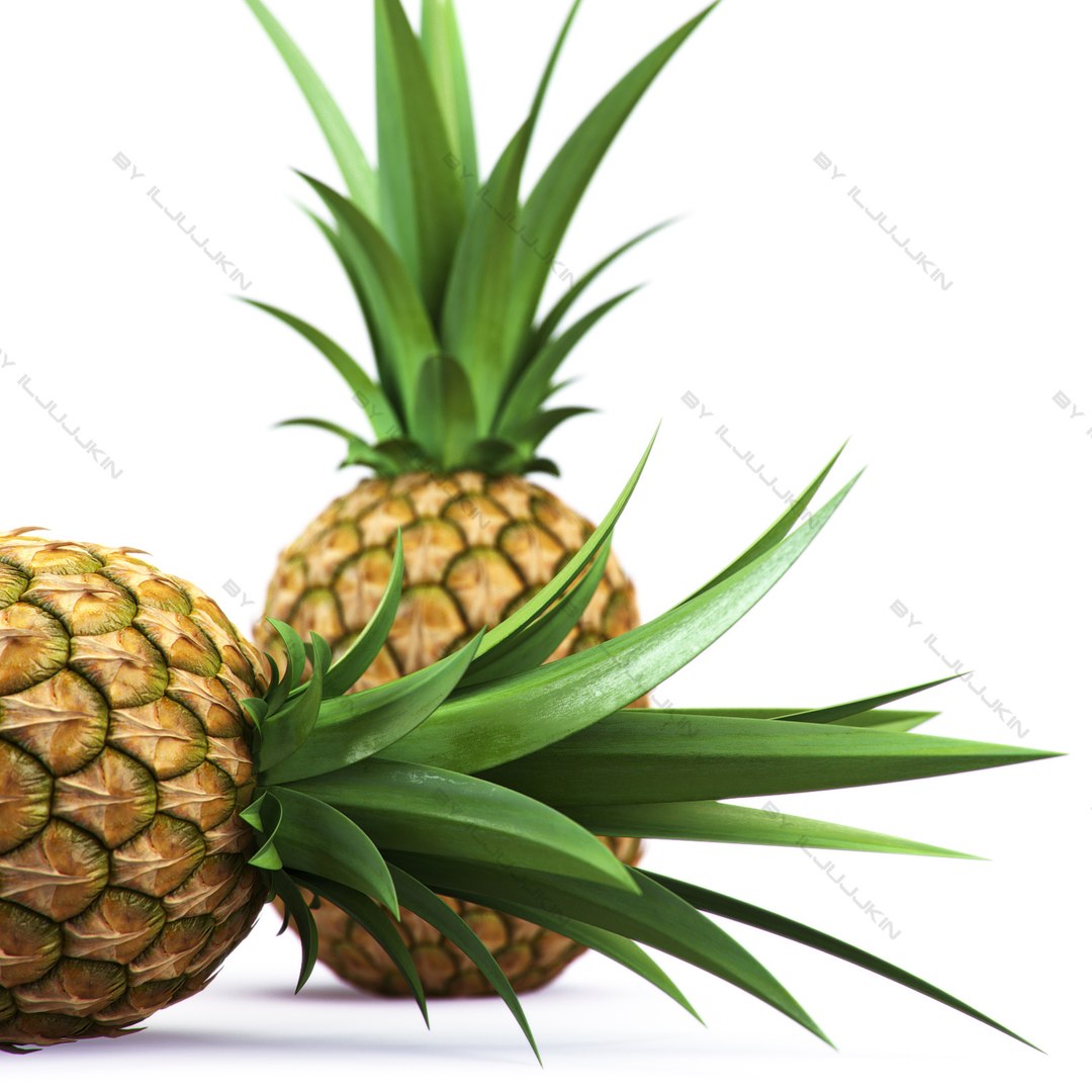 realistic apple green 3d model https://p.turbosquid.com/ts-thumb/x8/4sy9TO/fqd1JXKX/pineapple_2/jpg/1279271895/1920x1080/fit_q87/628ef489834adae6b904a7a4adb8f0431b6b9834/pineapple_2.jpg