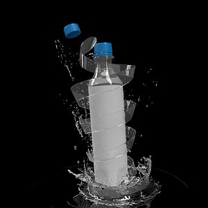 3D model Drinking bottle