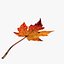 Fall Leaf