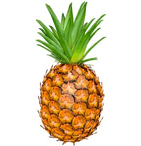 3D model pineapple fruit pine apple