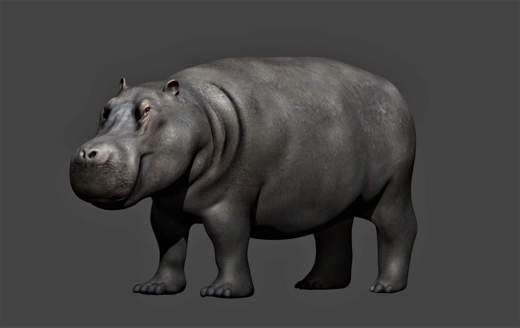 fully rigged marine mammals model https://p.turbosquid.com/ts-thumb/x9/4EI1BW/28/collection45/jpg/1616057845/1920x1080/fit_q87/9271c1da9f7e419e1baf3819de7e07e5f897d43f/collection45.jpg