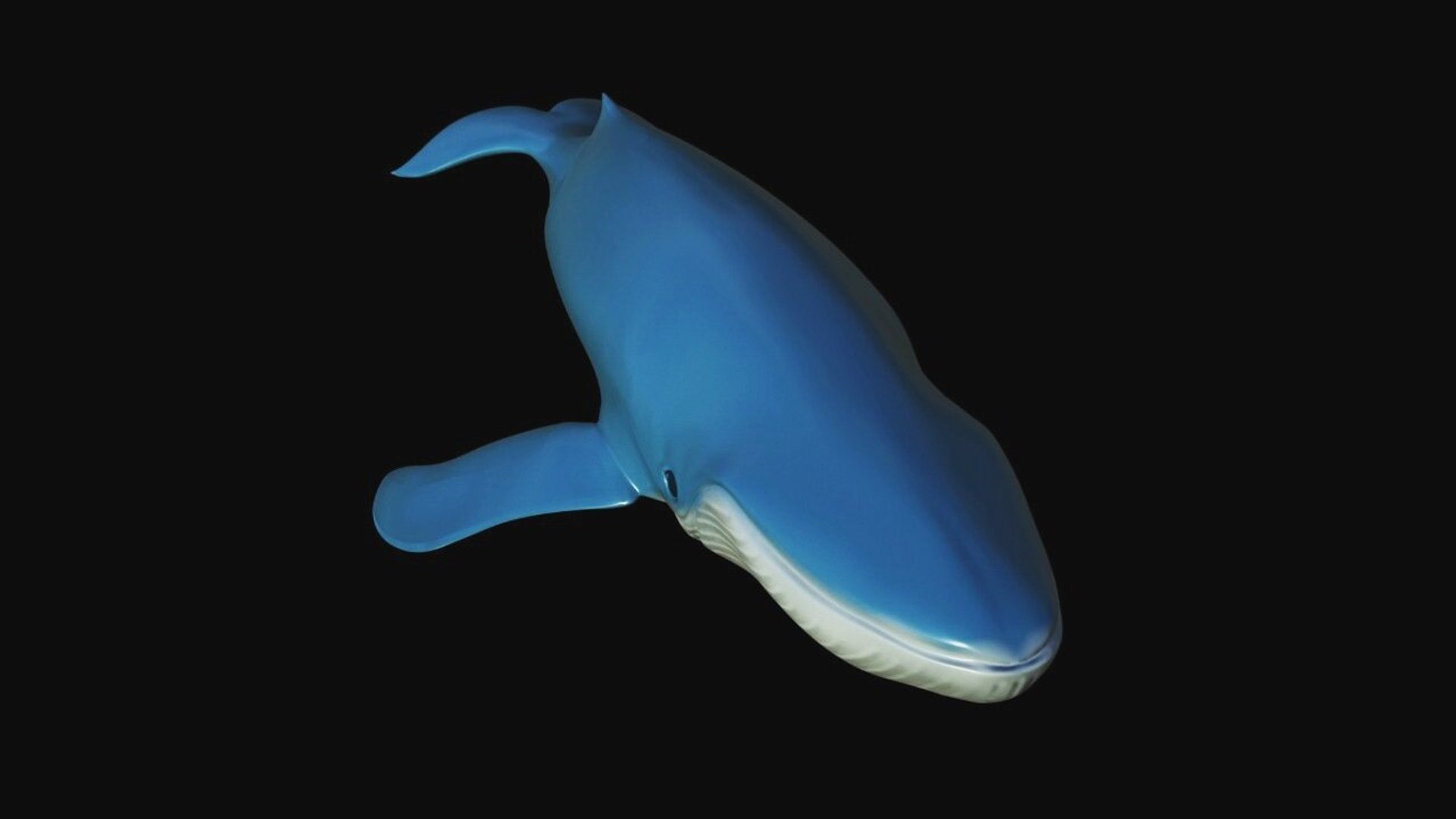fully rigged marine mammals model https://p.turbosquid.com/ts-thumb/x9/4EI1BW/3Z/collection23/jpg/1616057700/1920x1080/fit_q87/d4ceb6831535d5c2e7395e102d44b3fc3ccb39f4/collection23.jpg
