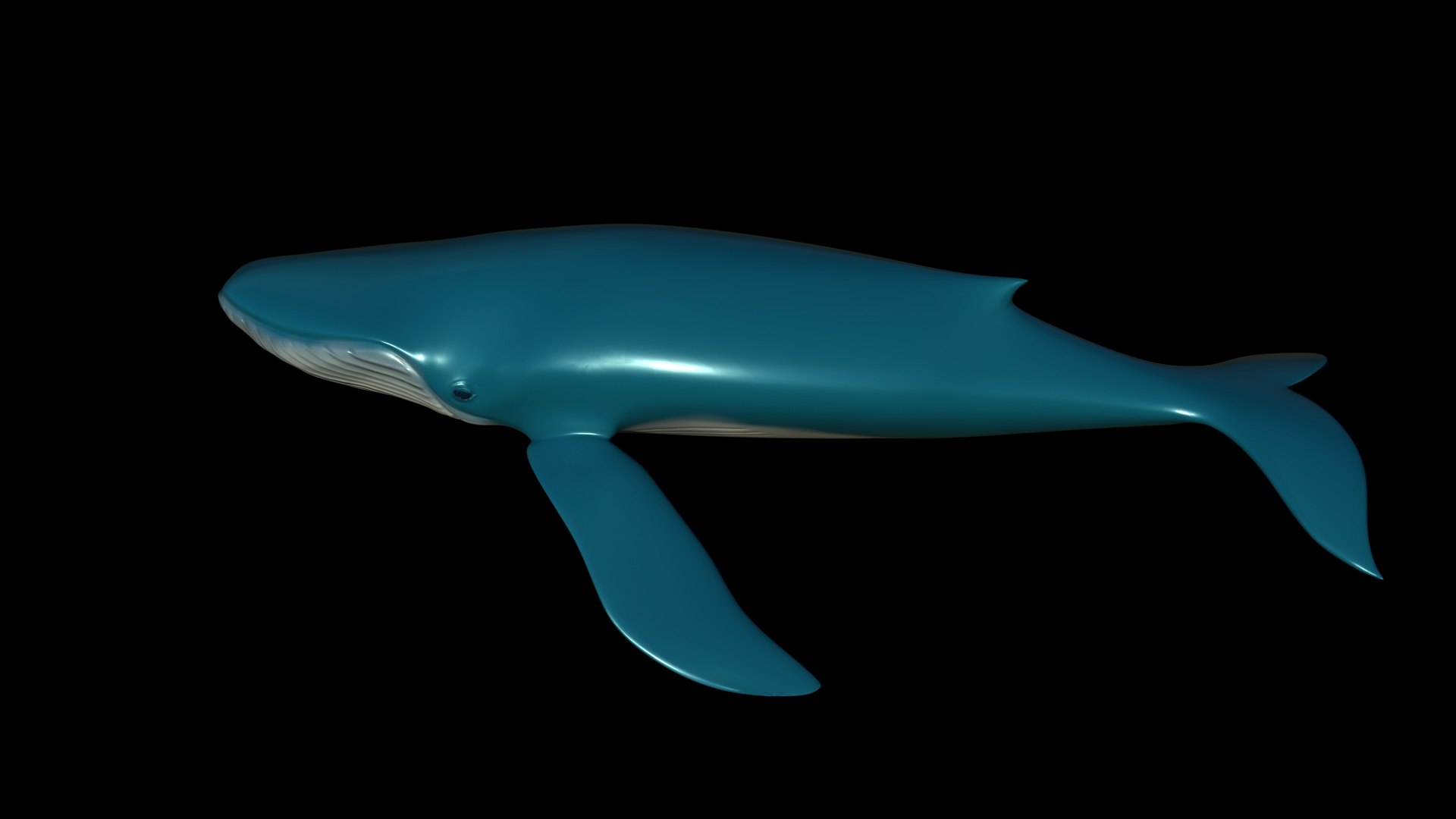 fully rigged marine mammals model https://p.turbosquid.com/ts-thumb/x9/4EI1BW/5x/collection15/jpg/1616057727/1920x1080/fit_q87/521b928eb41bffb98fed4cee6c3e3c51e5523e27/collection15.jpg